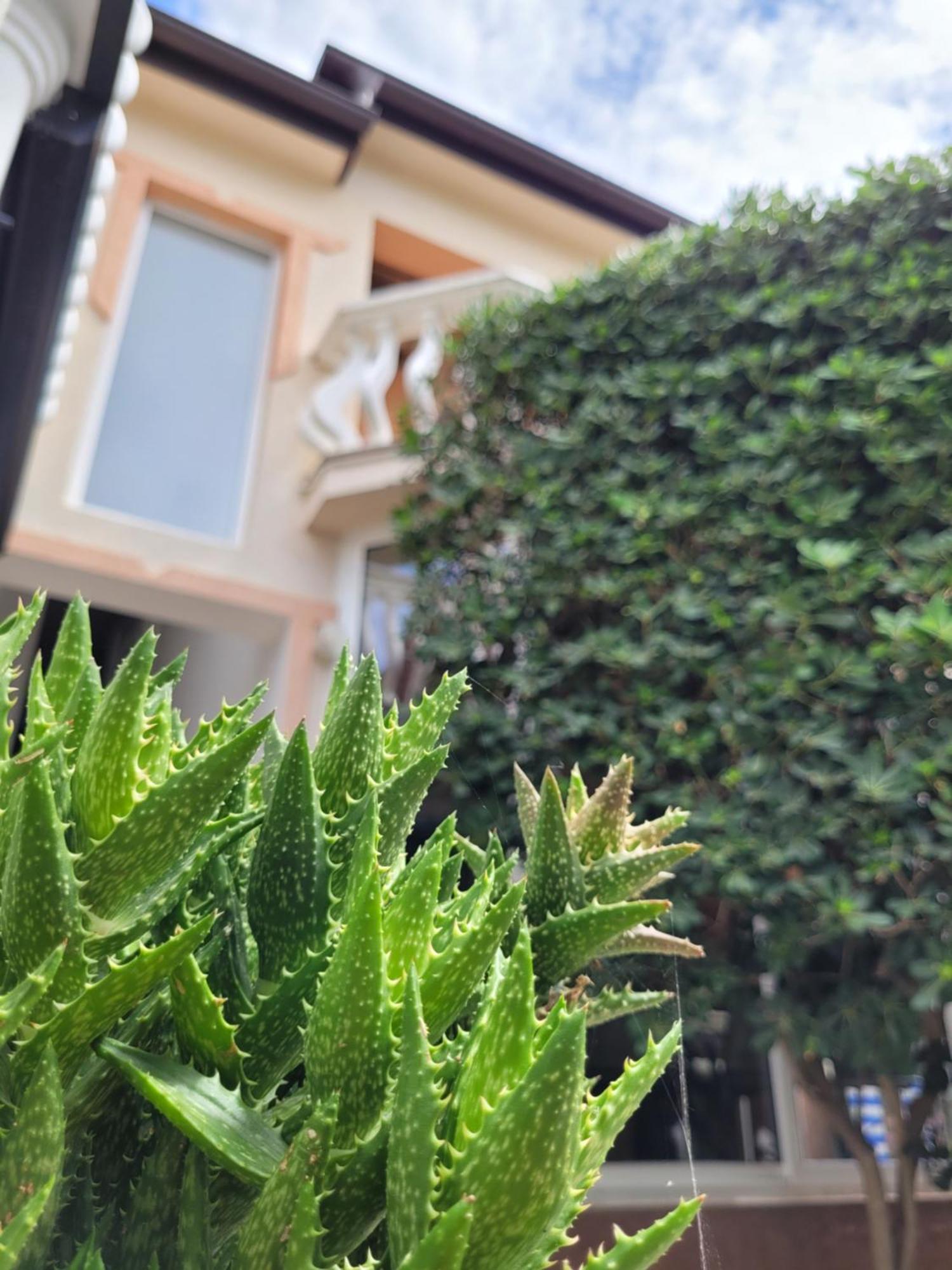 Apartment Jelena Vir Ngoại thất bức ảnh